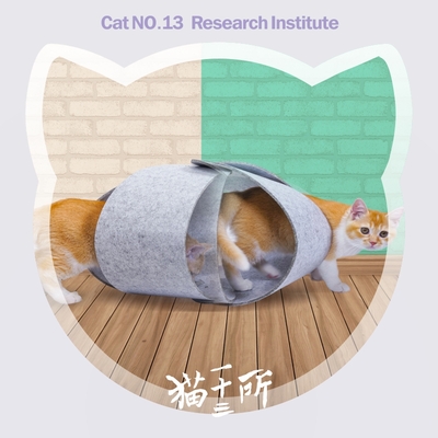 毡毡自喜DIY猫钻洞